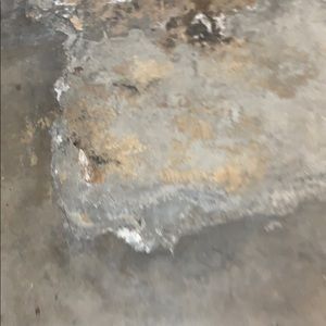 Meet your Posher, Priscilla